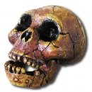 원시인 두개골 발굴 - PHS2/3 대량구매시 최대 2000원/개 추가할인