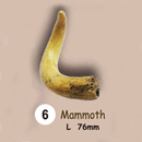 이빨화석발굴 - 맘모스 Mammoth [TF6]