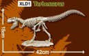 한반도공룡뼈발굴(특대형) - 타르보사우루스 [XLD1]